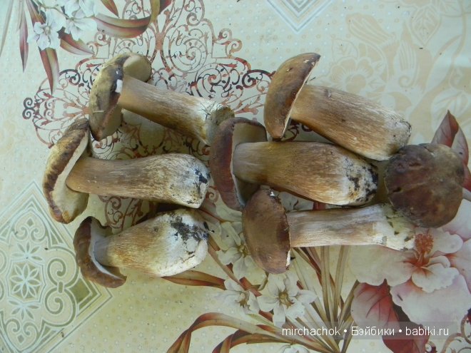 Красота... какая она — Болталка и разговоры обо всем: жизнь