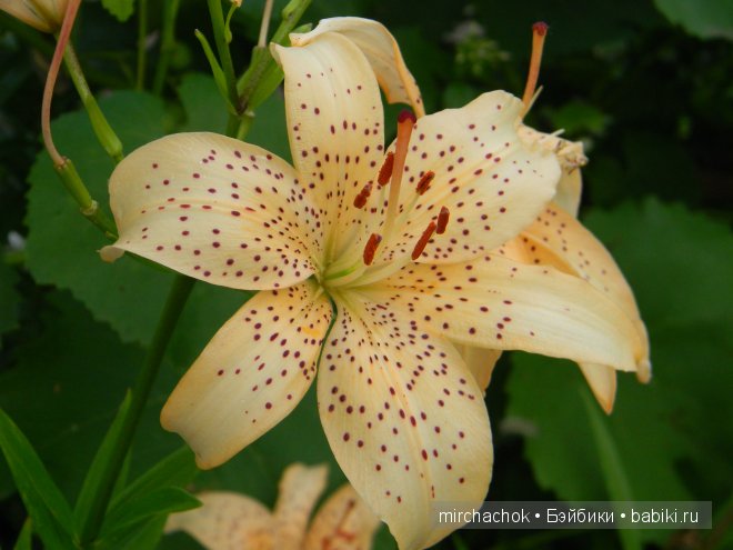 Красота... какая она — Болталка и разговоры обо всем: жизнь