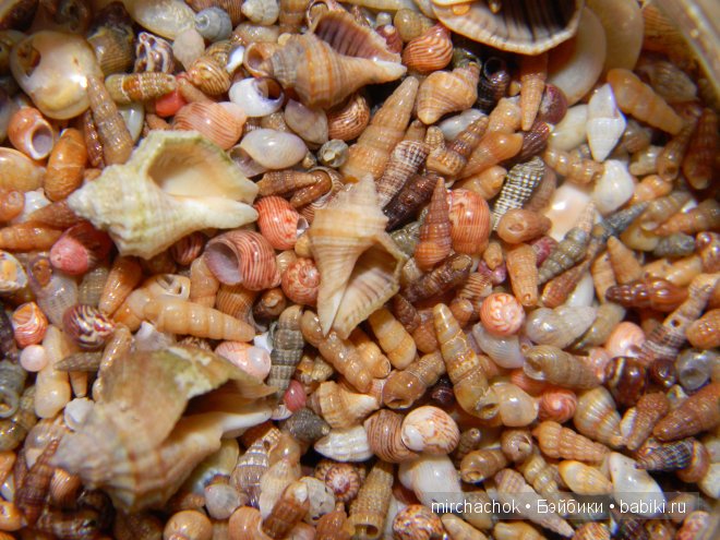 Красота... какая она — Болталка и разговоры обо всем: жизнь