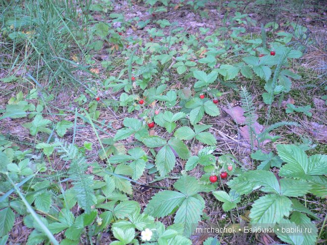 Красота... какая она — Болталка и разговоры обо всем: жизнь