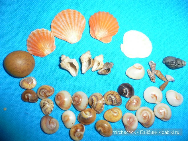 Красота... какая она — Болталка и разговоры обо всем: жизнь