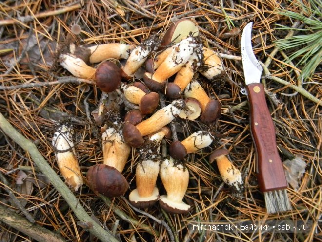 Красота... какая она — Болталка и разговоры обо всем: жизнь