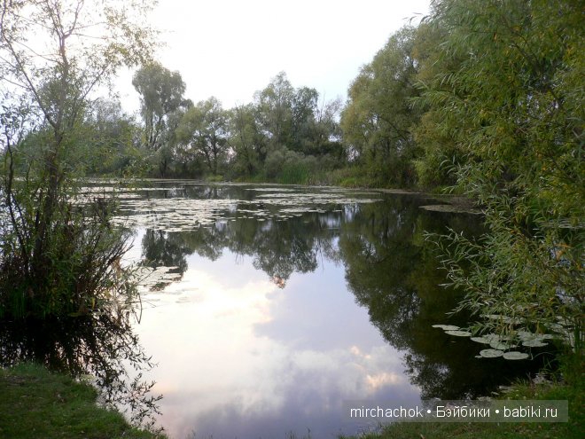 Красота... какая она — Болталка и разговоры обо всем: жизнь