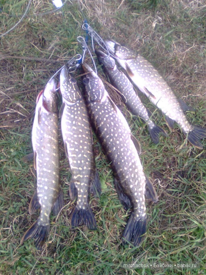 Красота... какая она — Болталка и разговоры обо всем: жизнь