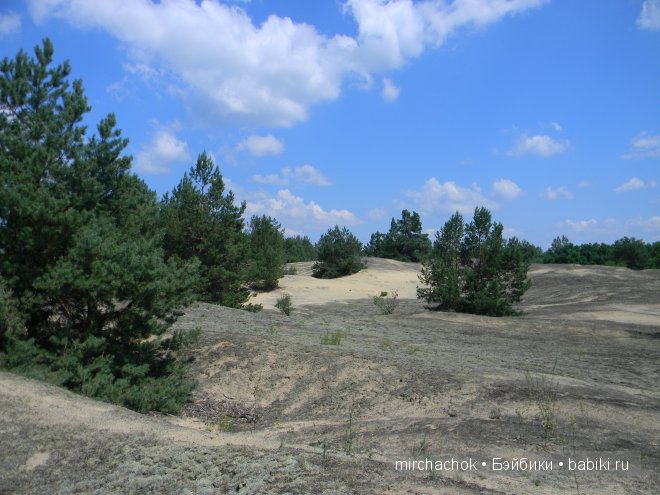 Красота... какая она — Болталка и разговоры обо всем: жизнь