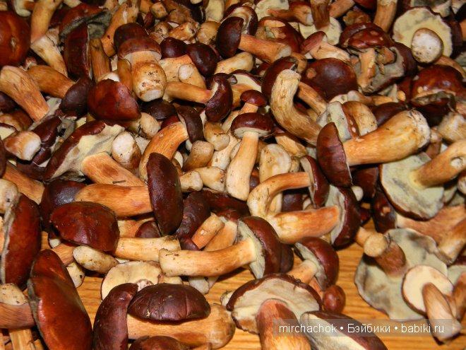 Красота... какая она — Болталка и разговоры обо всем: жизнь