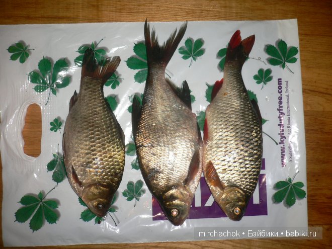 Красота... какая она — Болталка и разговоры обо всем: жизнь