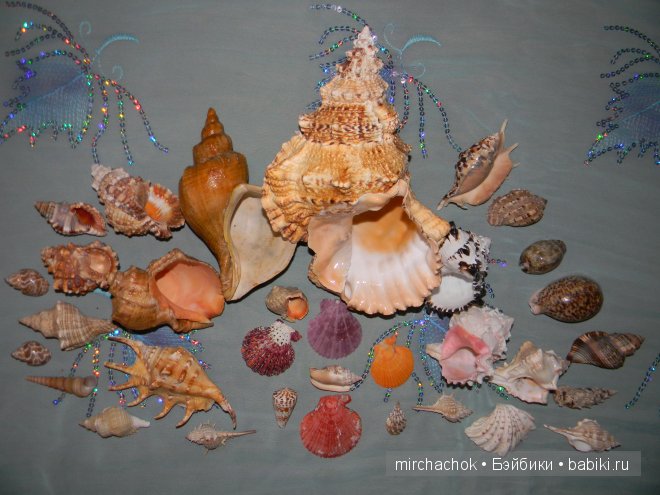 Красота... какая она — Болталка и разговоры обо всем: жизнь