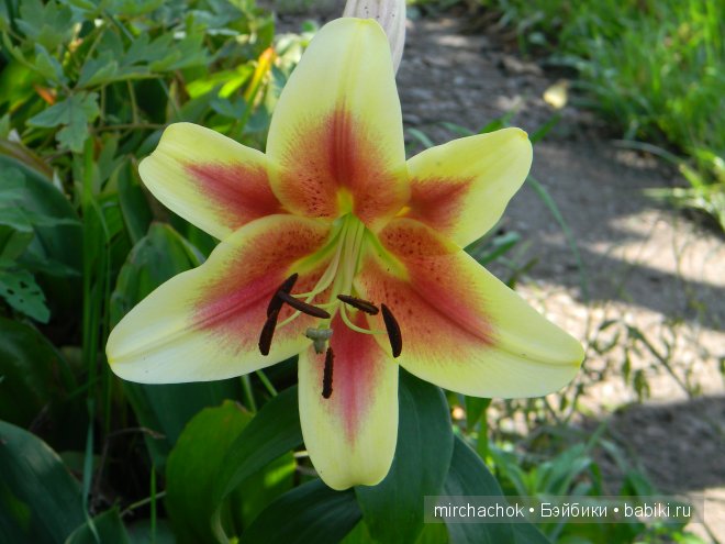 Красота... какая она — Болталка и разговоры обо всем: жизнь