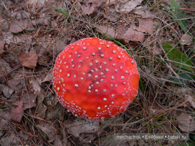 Красота... какая она — Болталка и разговоры обо всем: жизнь