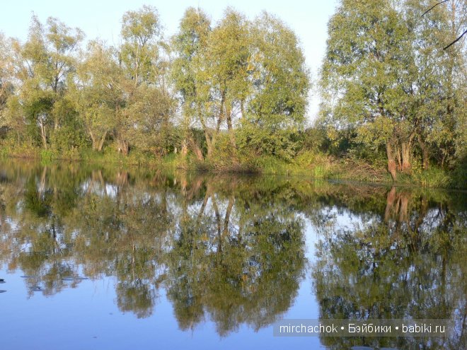 Красота... какая она — Болталка и разговоры обо всем: жизнь (фото 7)