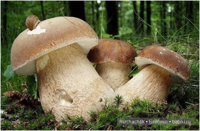 Знакомство с летом — Болталка и разговоры обо всем: жизнь (фото 3)