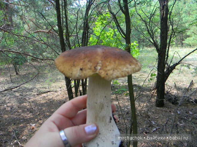 Знакомство с летом — Болталка и разговоры обо всем: жизнь (фото 5)