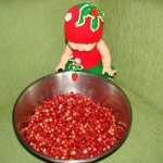 Знакомство с летом