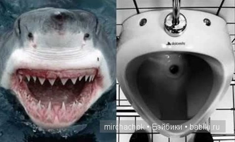 НЕ забавные сходства — Болталка и разговоры обо всем: жизнь (фото 5)