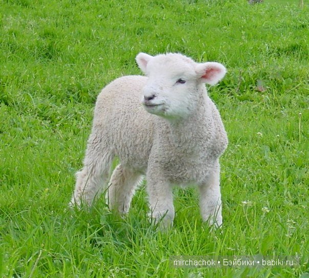 Первый наряд для Гномика. Сказка:) (фото 2)