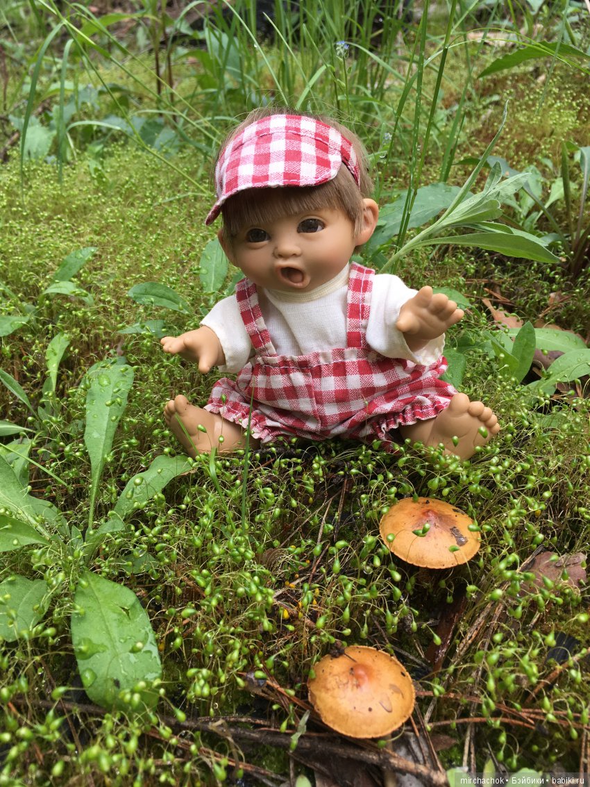 Красота и Ужасы весеннего леса