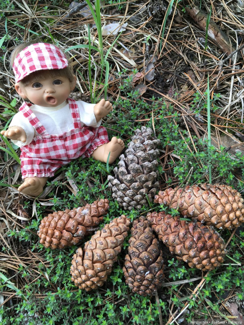 Красота и Ужасы весеннего леса