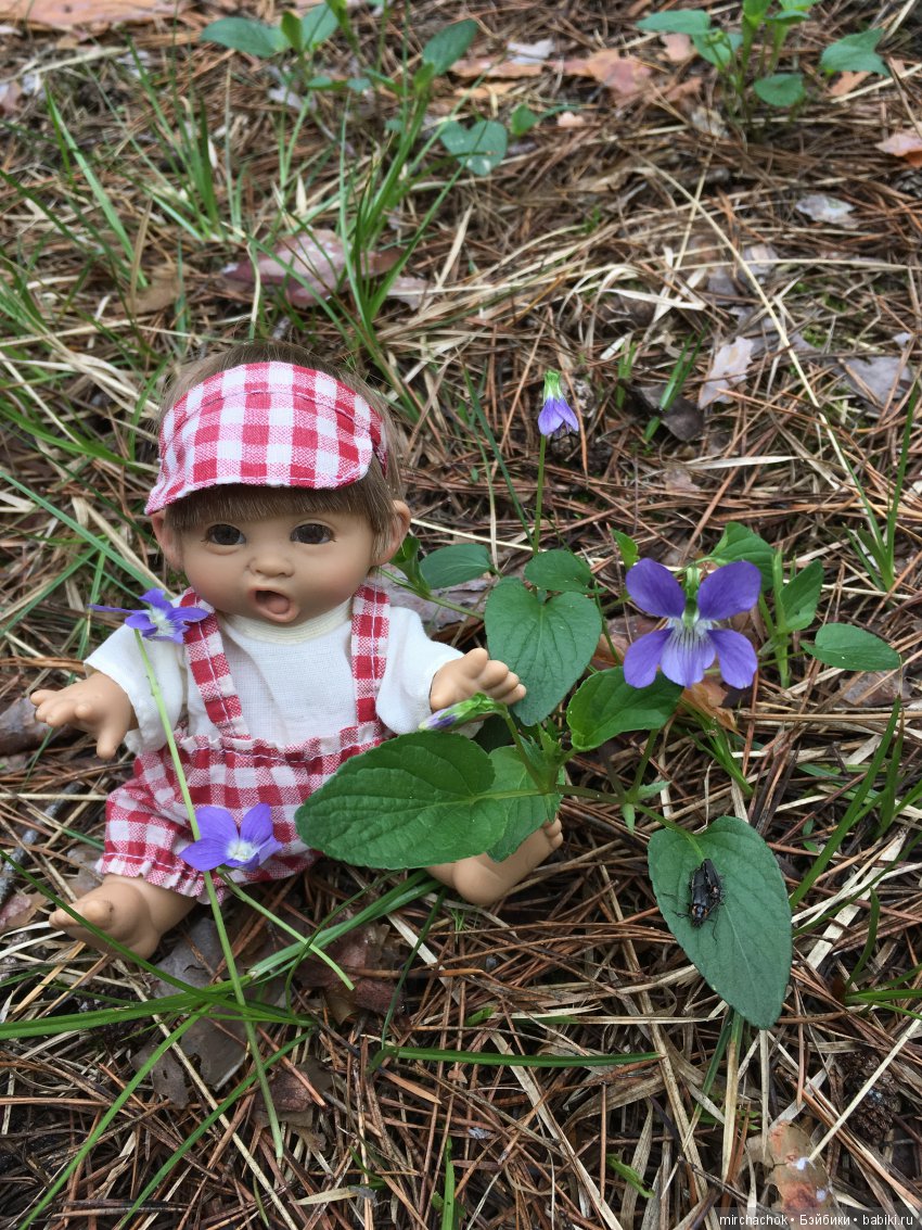 Красота и Ужасы весеннего леса