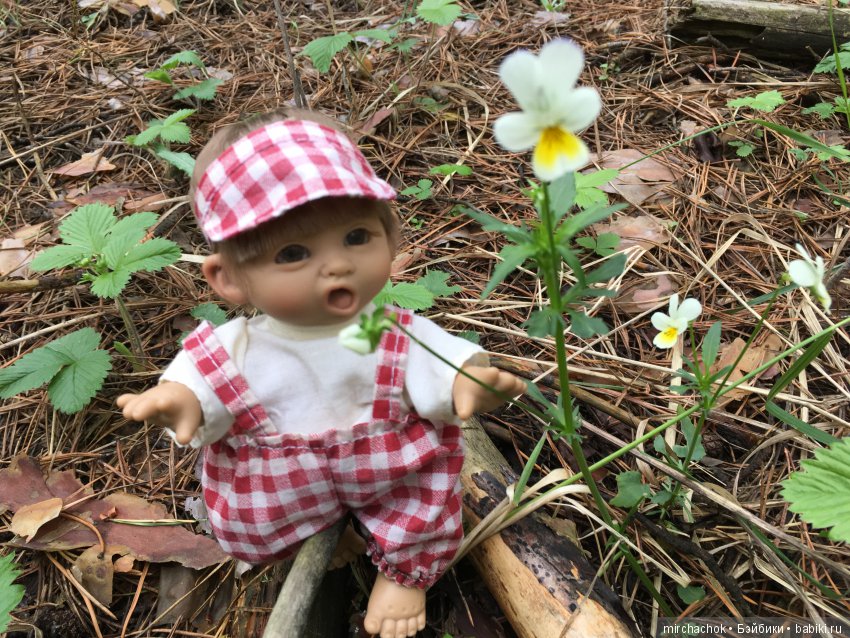 Красота и Ужасы весеннего леса