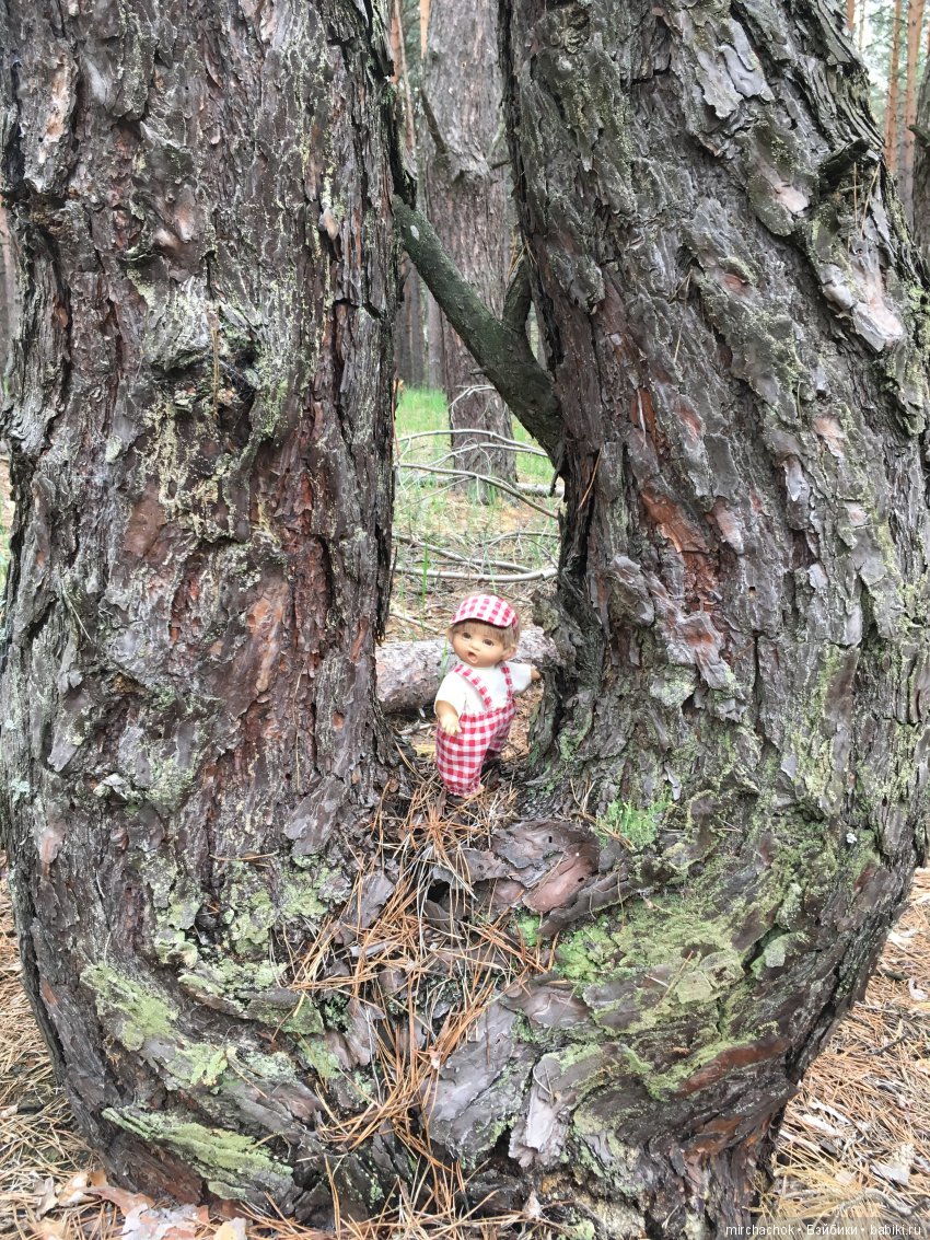 Красота и Ужасы весеннего леса