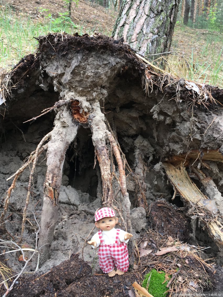 Красота и Ужасы весеннего леса