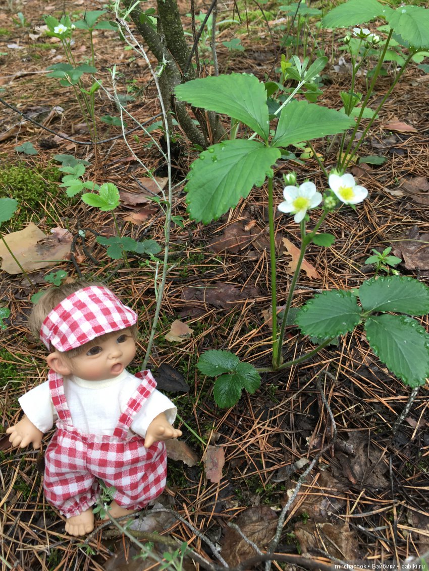 Красота и Ужасы весеннего леса (фото 10)