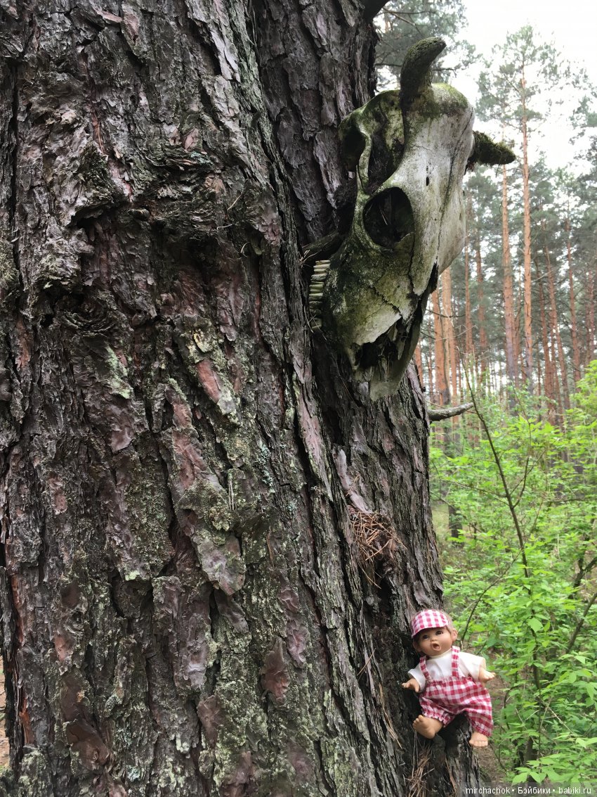 Красота и Ужасы весеннего леса