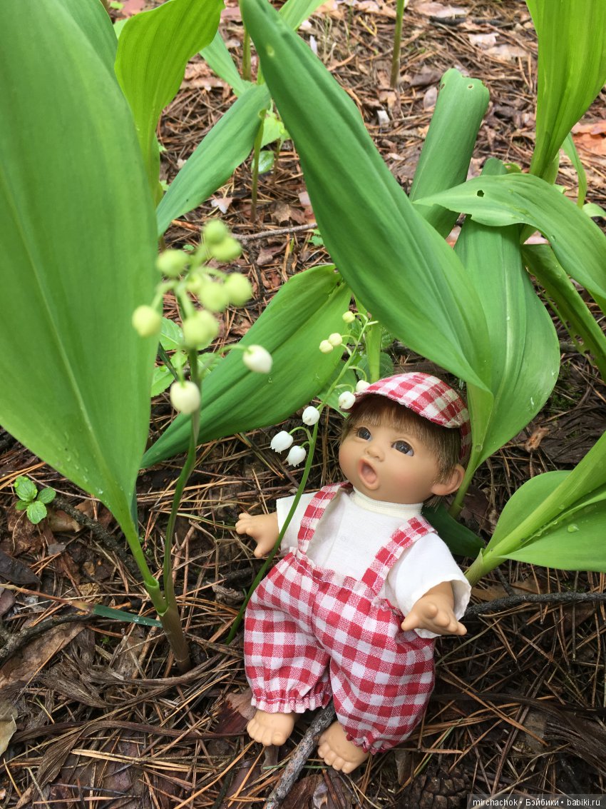 Красота и Ужасы весеннего леса