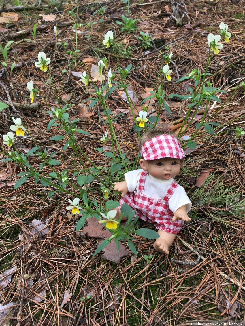 Красота и Ужасы весеннего леса