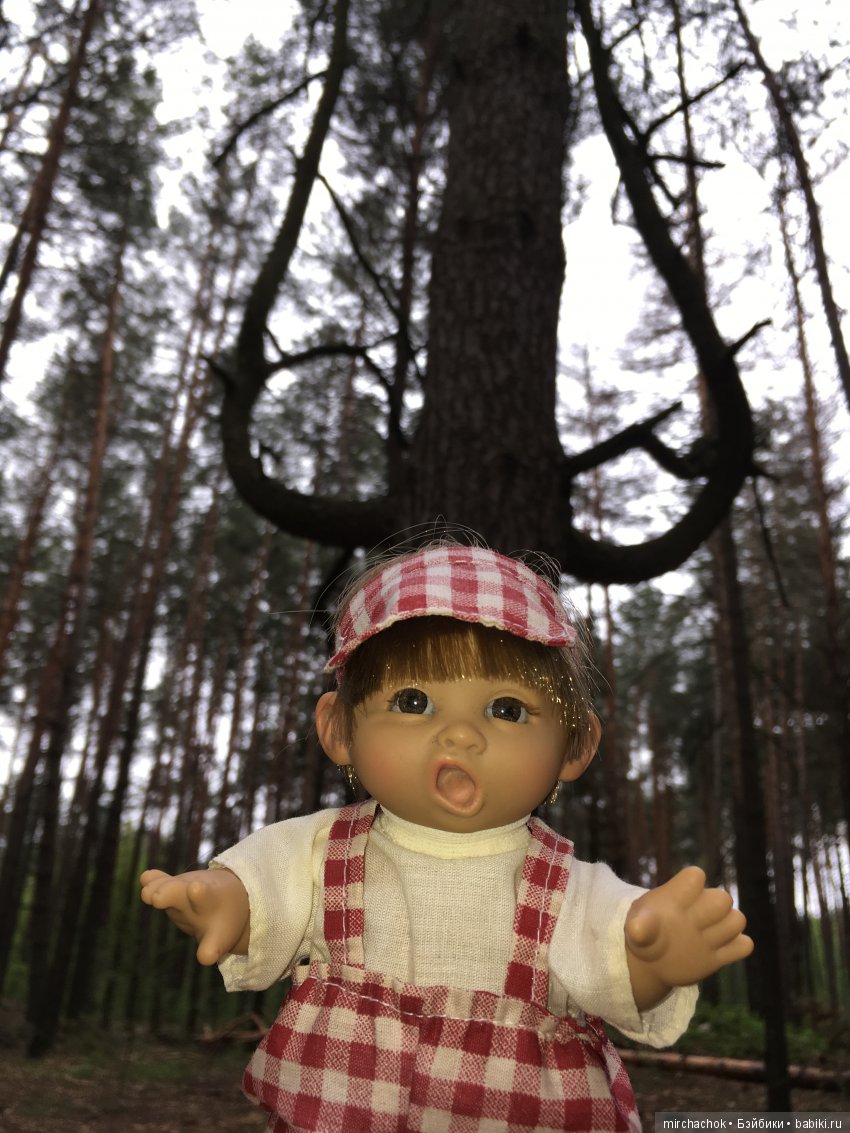 Красота и Ужасы весеннего леса