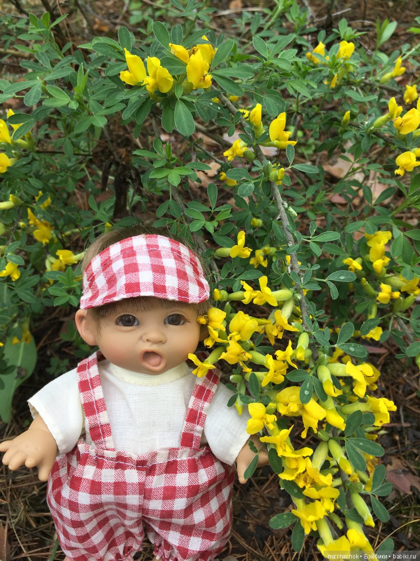 Красота и Ужасы весеннего леса