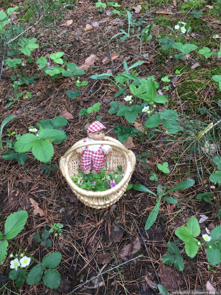 Красота и Ужасы весеннего леса (фото 6)