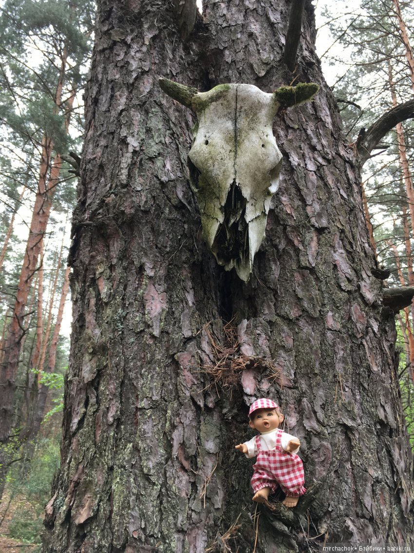 Красота и Ужасы весеннего леса