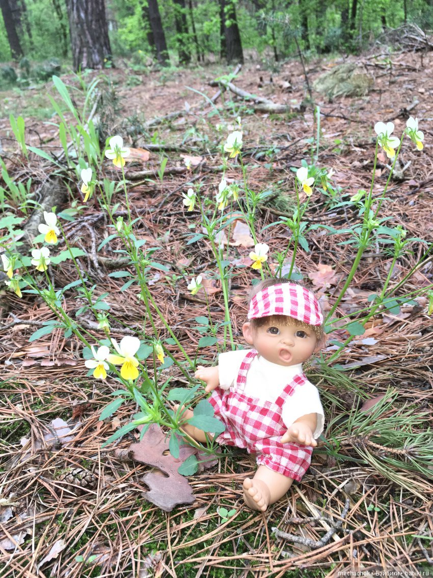 Красота и Ужасы весеннего леса