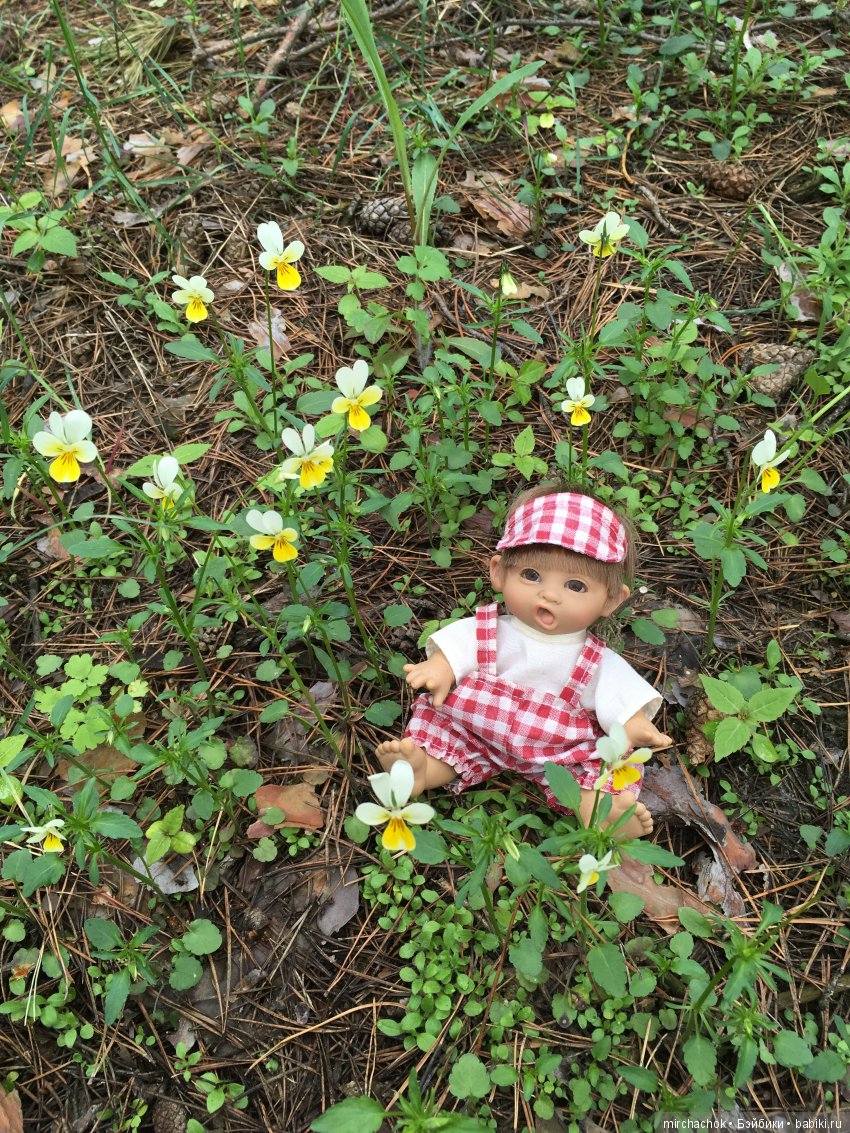 Красота и Ужасы весеннего леса