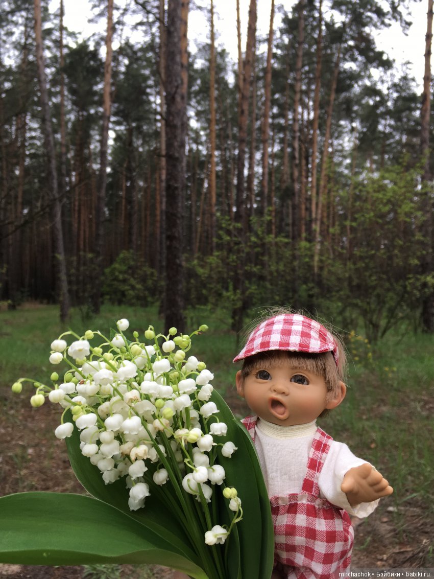 Красота и Ужасы весеннего леса