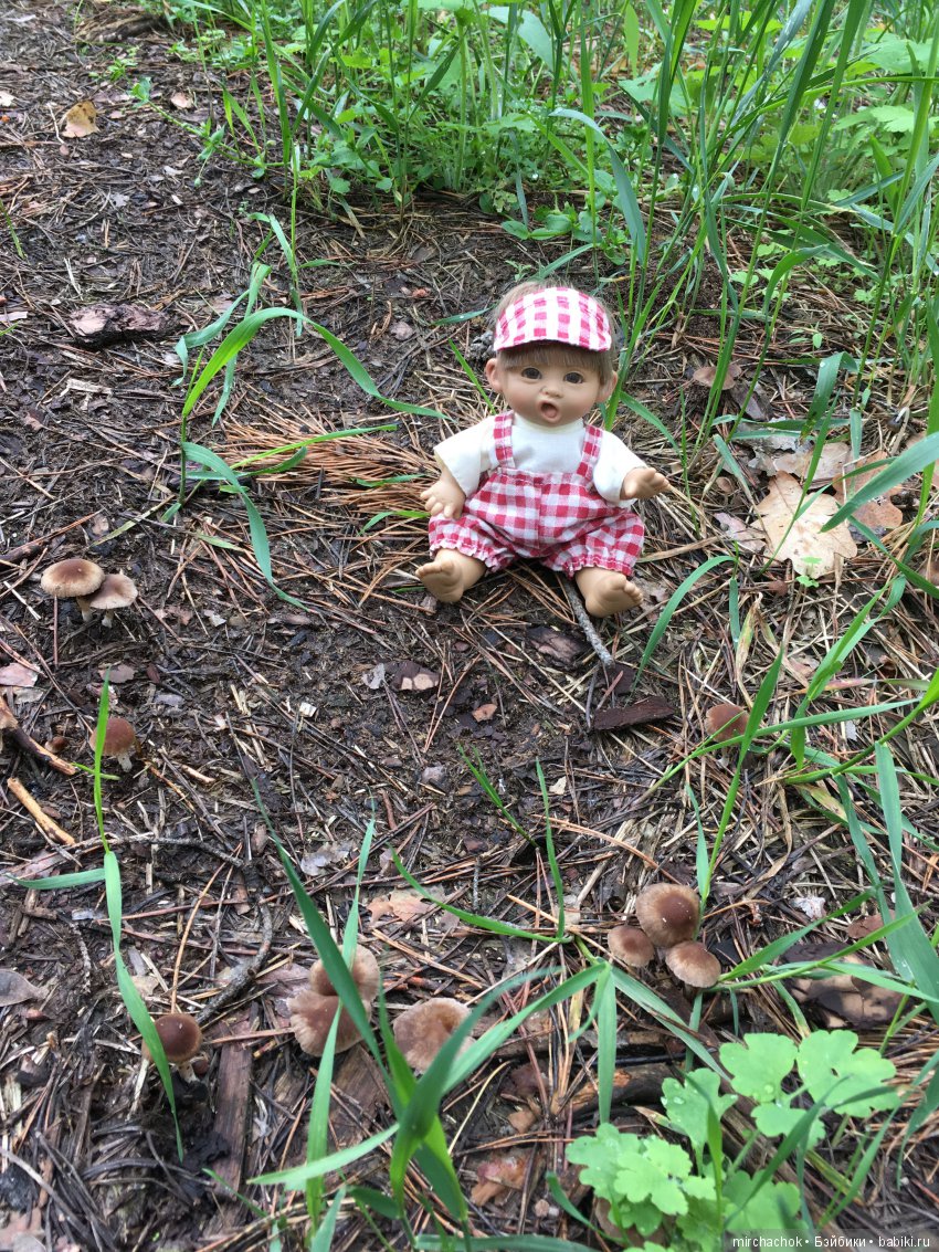 Красота и Ужасы весеннего леса