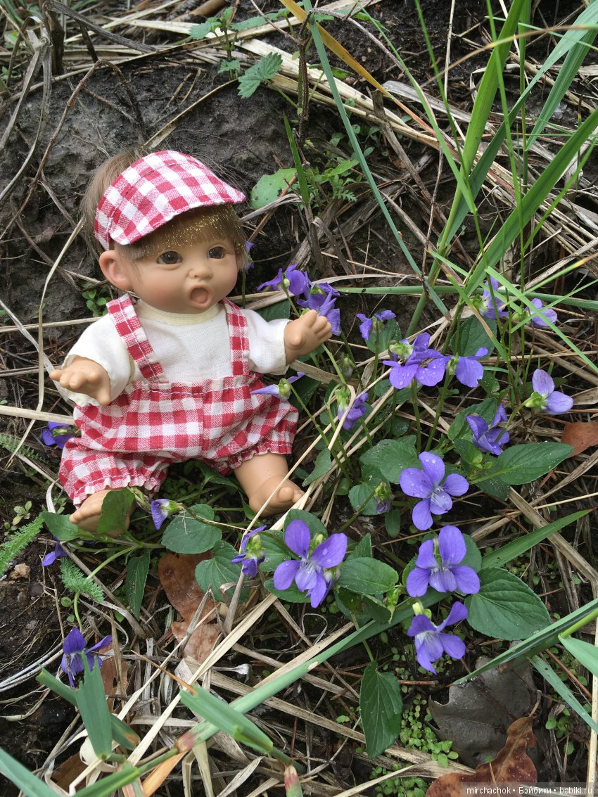 Красота и Ужасы весеннего леса