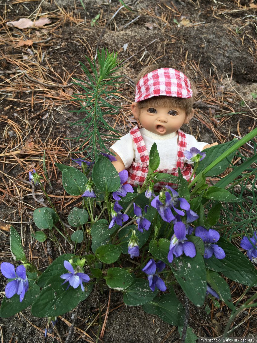 Красота и Ужасы весеннего леса