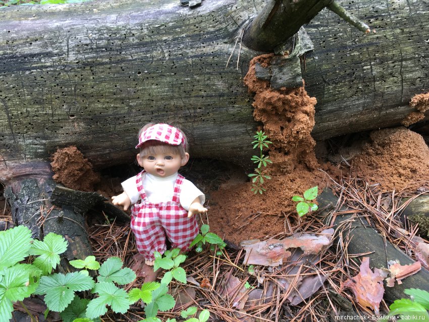 Красота и Ужасы весеннего леса