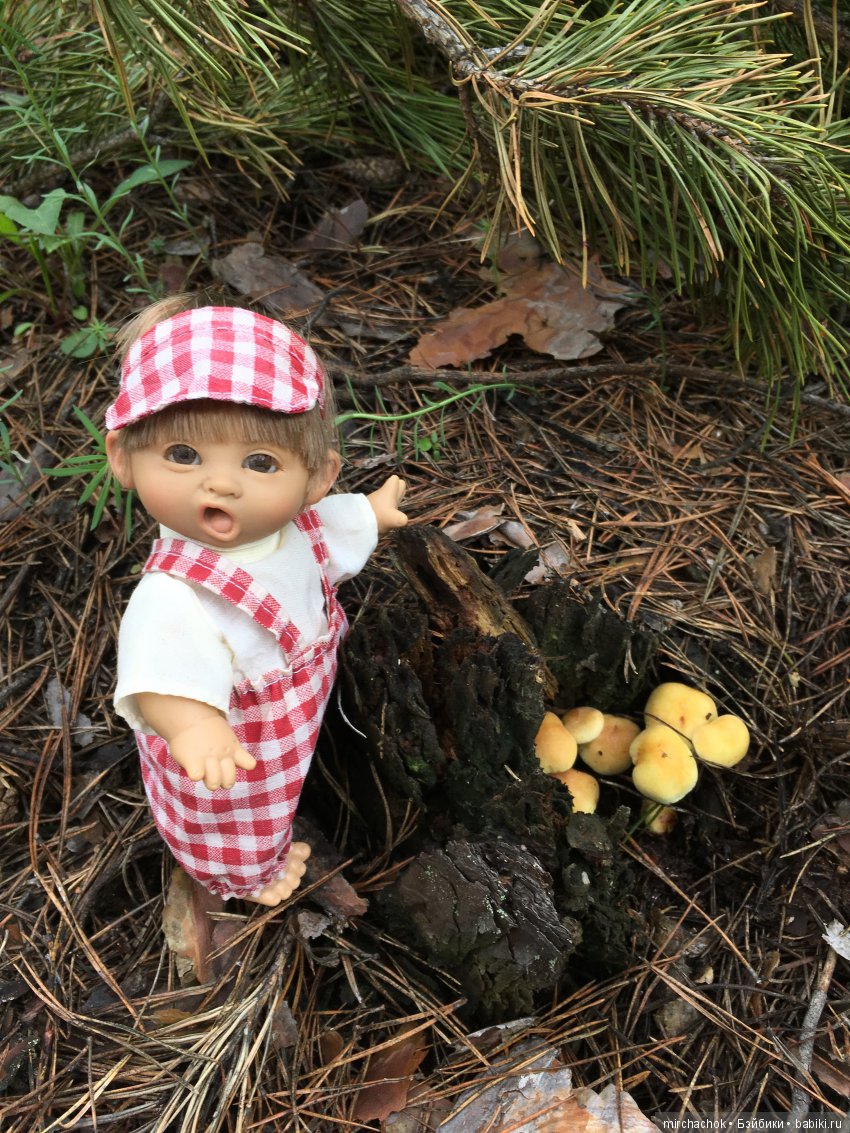 Красота и Ужасы весеннего леса