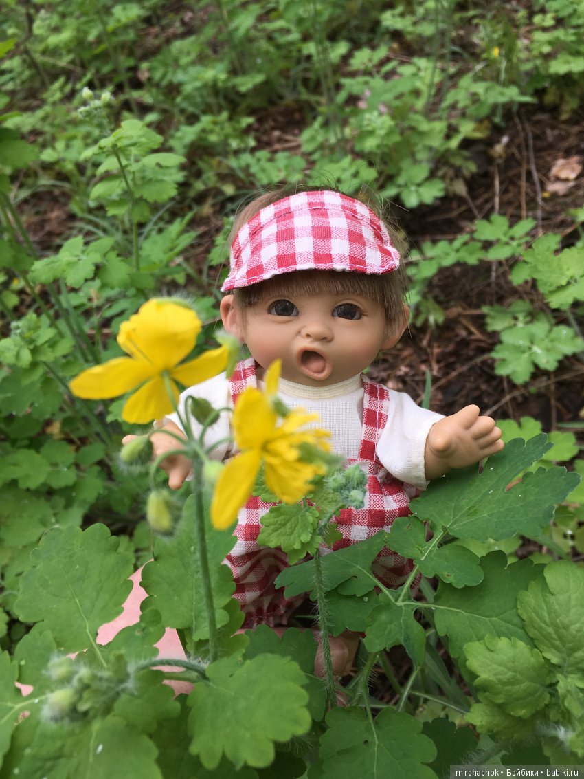 Красота и Ужасы весеннего леса