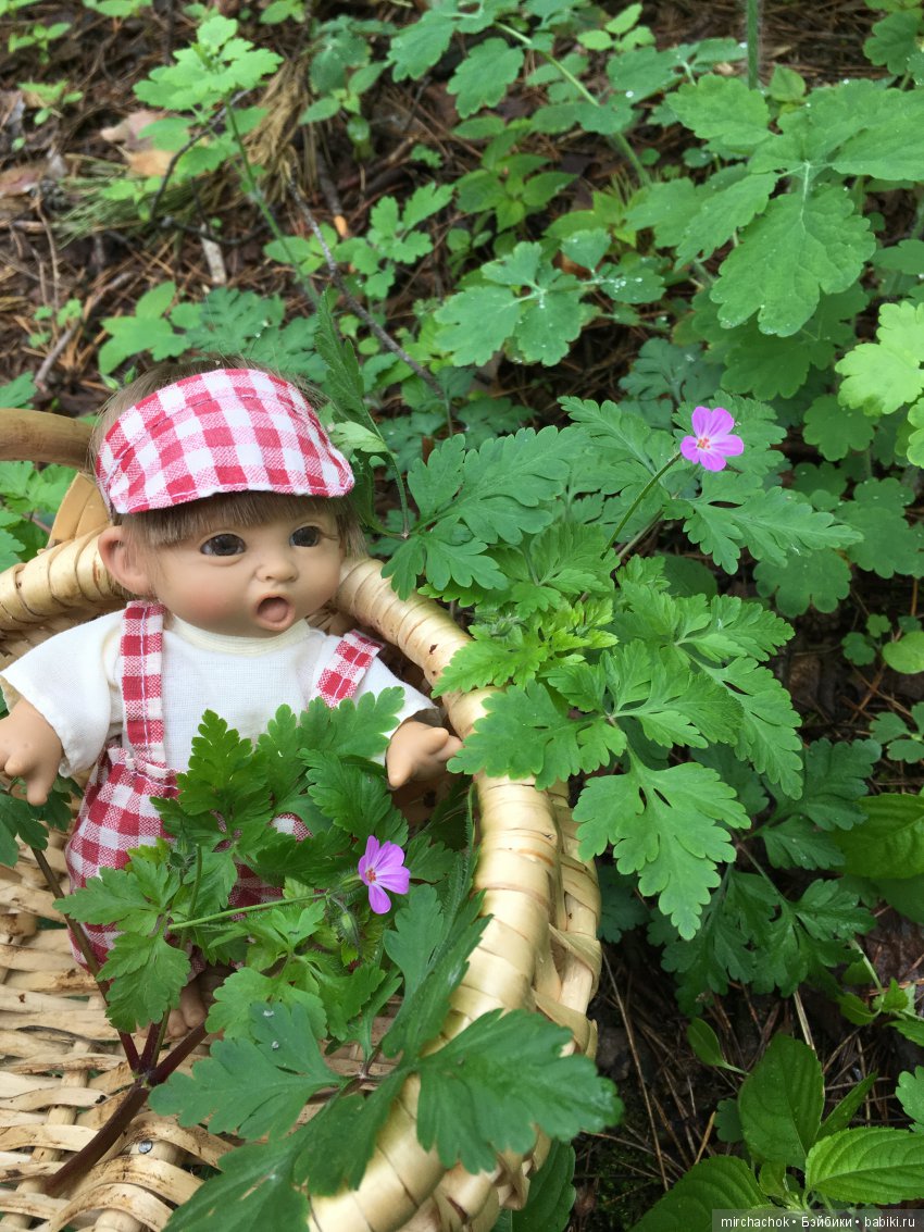 Красота и Ужасы весеннего леса (фото 2)