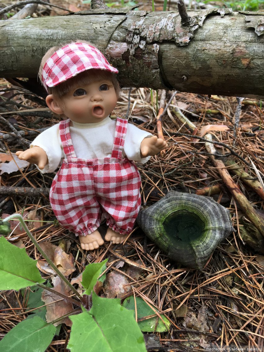 Красота и Ужасы весеннего леса