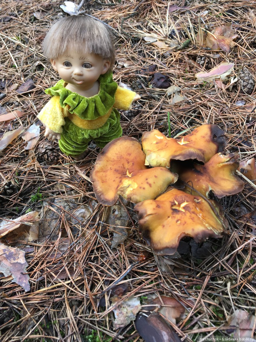 Весенний лес глазами Гришки