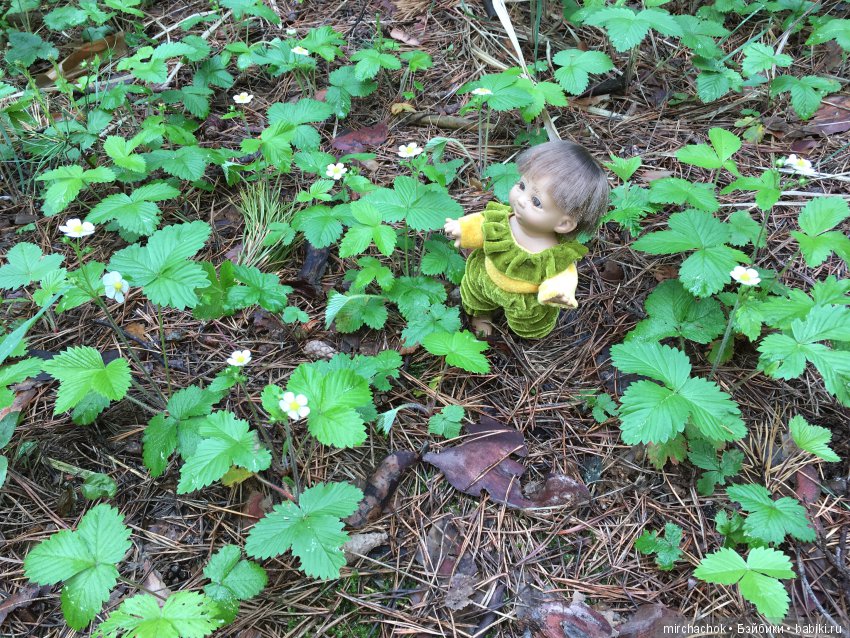 Весенний лес глазами Гришки (фото 8)