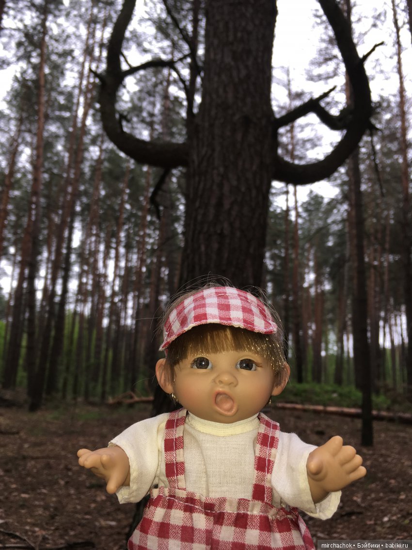 Весенний лес глазами Гришки (фото 4)