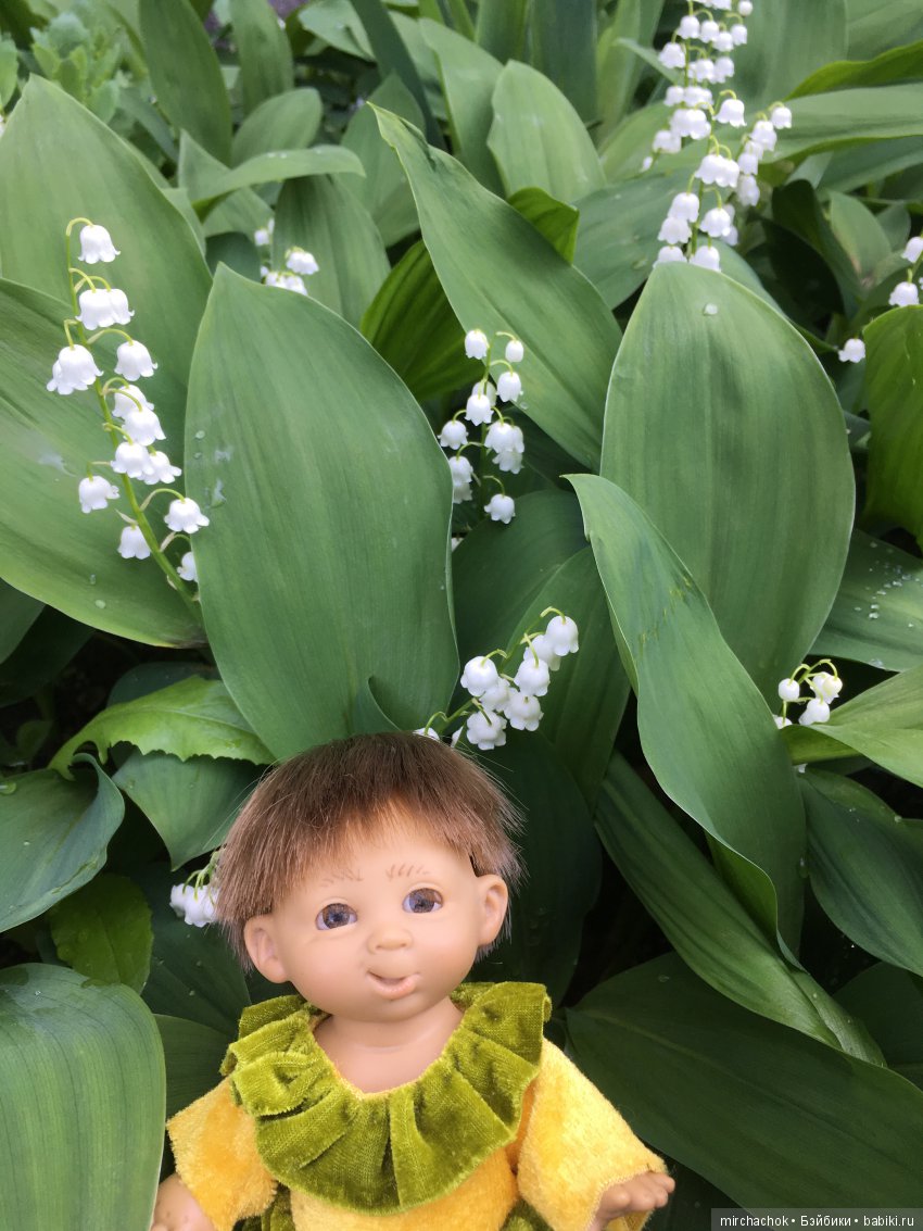 Весенний лес глазами Гришки