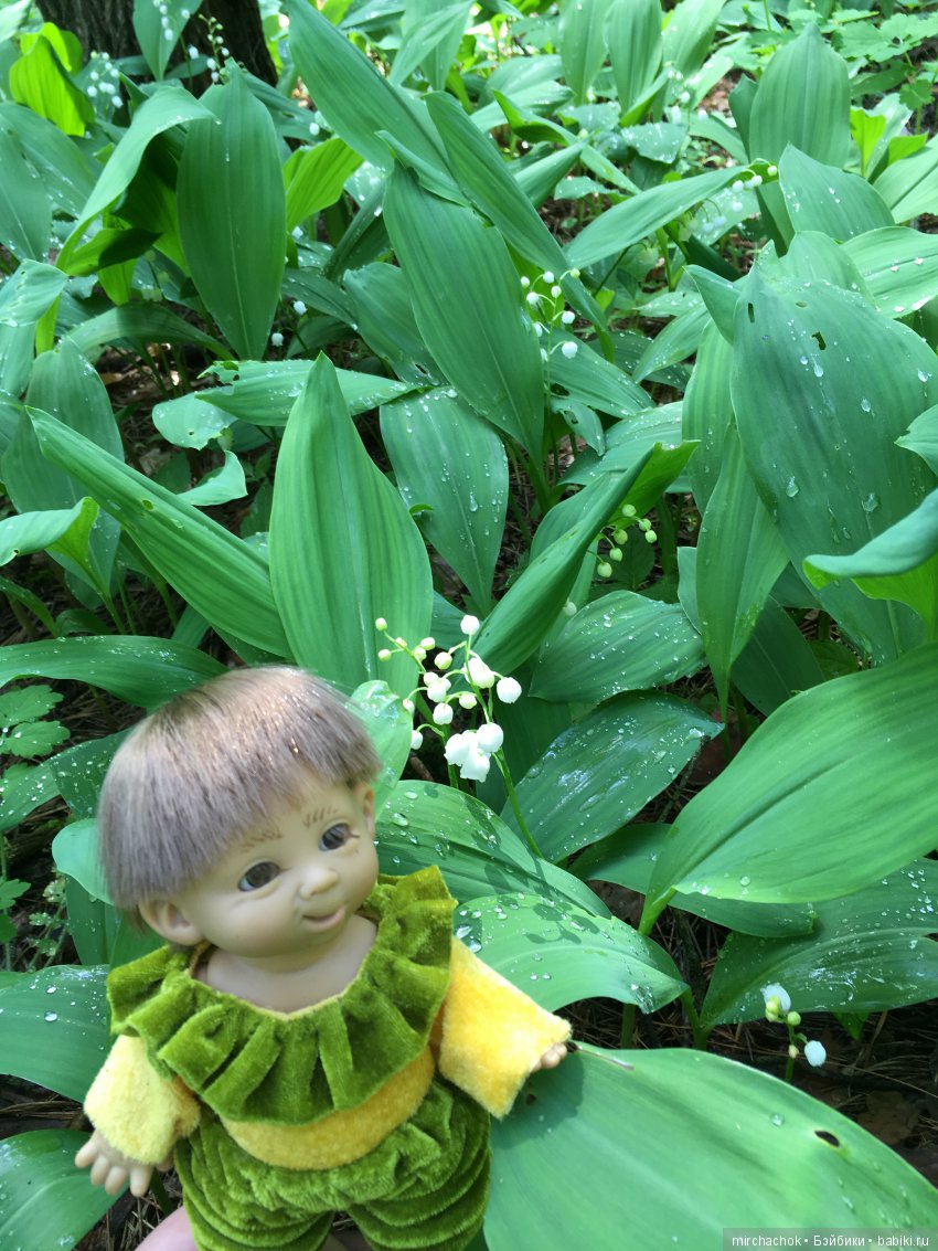 Весенний лес глазами Гришки